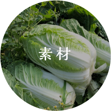 素材